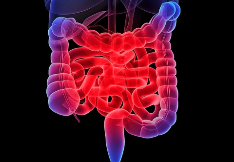 Liệu pháp miễn dịch kết hợp trong điều trị ung thư đại trực tràng